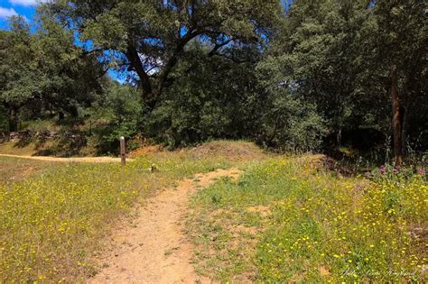 How to hike Sendero Molino del Corcho in Sierra Norte de Sevilla